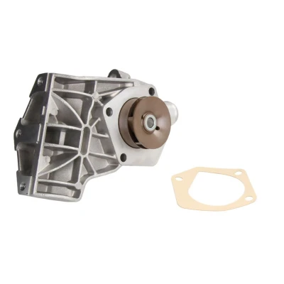 Abbildung von Saleri SIL PA1289 Wasserpumpe mechanisch SKODA: Fabia I Hatchback, 1 Combi, Praktik