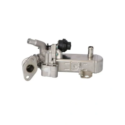 Abbildung von NRF 48212 AGR Modul mit Kühler NISSAN: NP300 Navara Pickup
