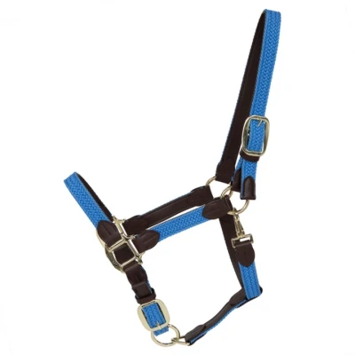 Abbildung von Kentucky Halfter Plaited Nylon Hellblau Neckeollblut