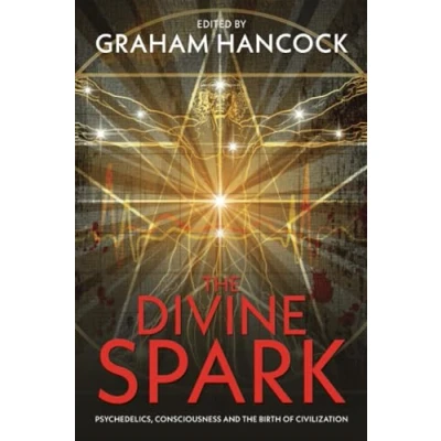 Abbildung von the Divine Spark: Psychedelics, Consciousness and Birth of Civilization