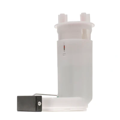 Abbildung von DELPHI FG2012 12B1 Kraftstoff Fördereinheit ohne Dichtung Drucksensor Benzin CITROËN: Saxo Hatchback