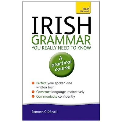 Abbildung von Irish Grammar You Really Need to Know: Teach Yourself