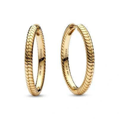 Abbildung von Pandora Moments Damen Ohrringe Gold 269532C00