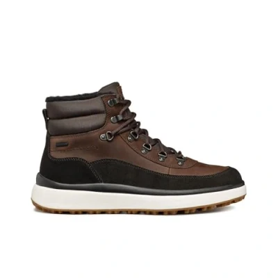 Abbildung von Geox Schnürstiefelette, Herren, Größe: 39, Coffee Leder