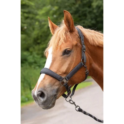 Abbildung von Harry&#039;s Horse SS25 Halsterset Denici Cavalli Shadow