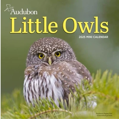 Abbildung von Audubon Little Owls Mini Wall Calendar 2025: A Year of Fluffy and Round