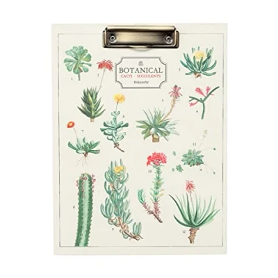 Abbildung von Kokonote Klemmbrettmappe A4, Klemmbrett Mappe mit Motiv Botanical Cacti Schreibbrett A4