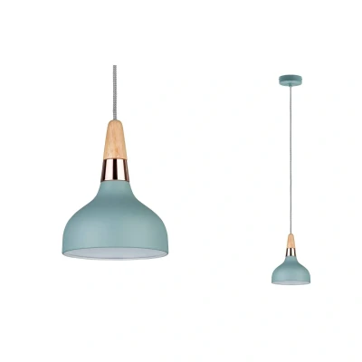 Abbildung von Paulmann 79652 Neordic Juna Pendelleuchte 160mm max. 1x20W Hängelampe für E14 Lampen Deckenlampe Softgrün/Kupfer/Holz 230V ohne Leuchtmittel