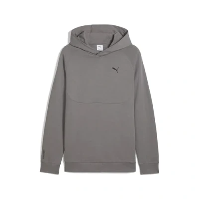 Abbildung von Puma Kapuzenpullover, Herren, Größe: Large, Cast iron