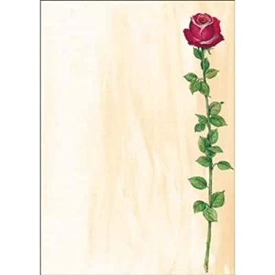 Abbildung von SIGEL DP695 Motiv Papier &quot;Rose Bloom&quot;, Briefpapier 90 g, DIN A4, 25 Blatt, aus nachhaltigem