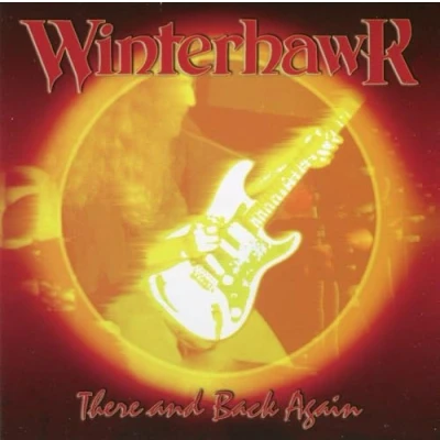 Abbildung von There And Back Again [Vinyl LP]