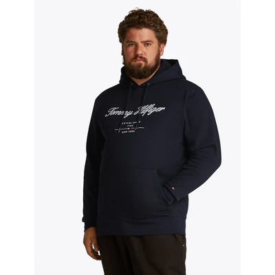 Abbildung von Tommy Hilfiger Script LOGO Hoody Sweatshirt, Herren, Größe: 3XL, Desert sky