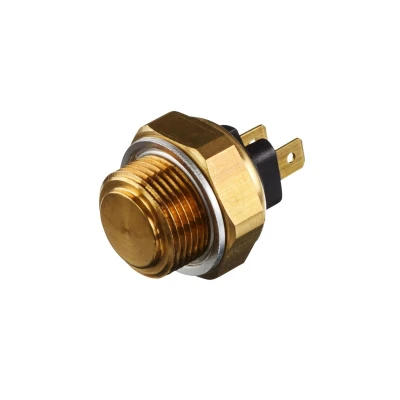 Abbildung von HELLA 6ZT 007 800 031 Temperaturschalter, Kühlerlüfter M 22 x 1,5 12 PEUGEOT: 205 II Hatchback, Convertible