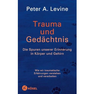 Abbildung von Trauma und Gedächtnis: Die Spuren unserer Erinnerung in Körper Gehirn Wie wir traumatische Erfahrungen verstehen verarbeiten