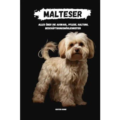 Abbildung von Malteser: alles über Auswahl, Haltung, Pflege, Beschäftigungsmöglichkeiten