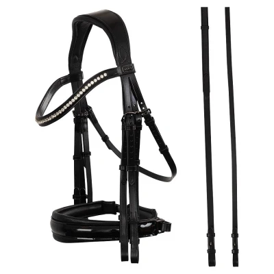 Abbildung von ANKY Double Bridle ATH23002