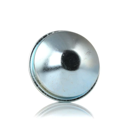 Abbildung von TOPRAN 207 569 Schutzdeckel, Radnabe OPEL: Astra G CC