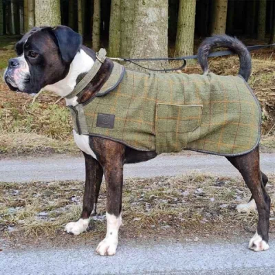 Abbildung von Digby &amp; Fox Hundejacke L