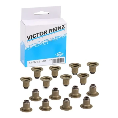 Abbildung von REINZ 12 37621 01 Dichtungssatz, Ventilschaft FPM (Fluor Kautschuk) BMW: 1 Hatchback, 3 Touring, CITROËN: C4 Coupe, C5 III Estate, MINI: Hatchback