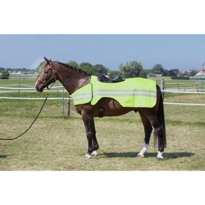 Abbildung von Harry&#039;s Horse Übungsblatt Reflektierend S Farbe Weniger