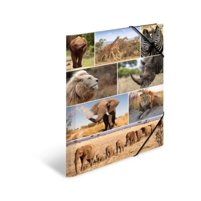 Abbildung von HERMA Sammelmappe A3 Löwe, Kinder Eckspanner Mappe aus Pappe mit Afrika Tier Motiv, Gummizug, Innenklappen und Innendruck für Jungen Mädchen