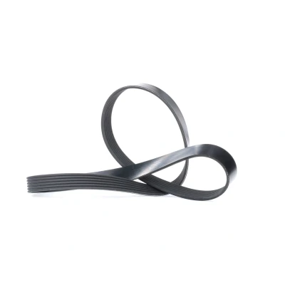 Abbildung von Keilrippenriemen DAYCO 6PK1115