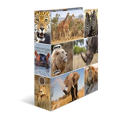 Abbildung von HERMA Ordner A4 Löwe Set, 10 Stück, 7 cm breit, Kinder Ringordner mit Afrika Tier Motiv, bunter Aktenordner Innendruck für Jungen und Mädchen