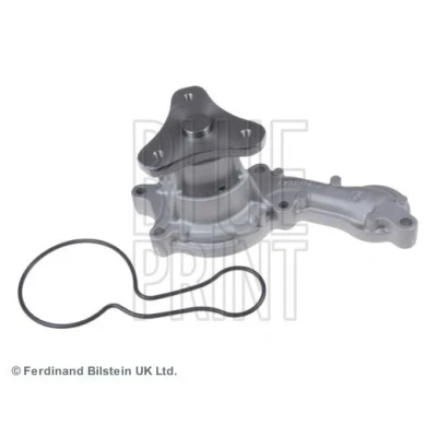 Abbildung von BLUE PRINT ADH29136 Wasserpumpe Aluguss mit Dichtung Kunststoff HONDA: CIVIC 8 Hatchback