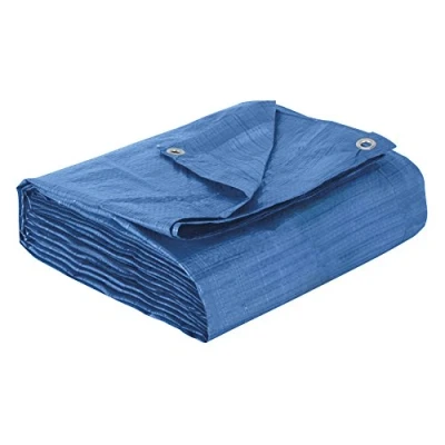 Abbildung von Cogex 82223 Mehrzweck Plane, 5 x 8 m, Blau