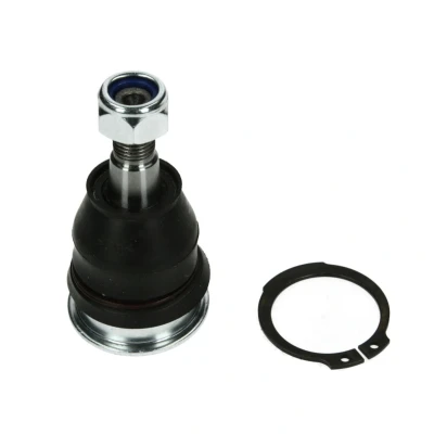 Abbildung von DELPHI TC1006 Traggelenk TOYOTA: Yaris II Hatchback
