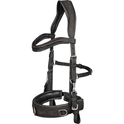 Abbildung von Waldhausen Kapzaum Anatomisch Schwarz Pony