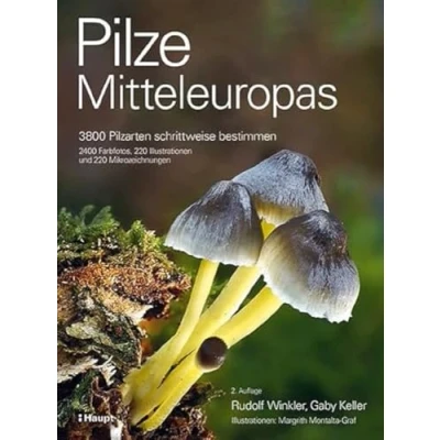 Abbildung von Pilze Mitteleuropas: 3800 Pilzarten schrittweise bestimmen. 2400 Farbfotos, 220 Illustrationen und Mikrozeichnungen