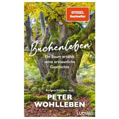 Abbildung von Buchenleben: Ein Baum erzählt seine erstaunliche Geschichte