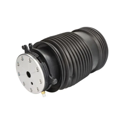 Abbildung von Magnum Technology MZM019MT Luftfeder, Fahrwerk Hinterachse links