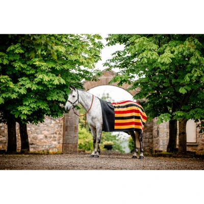 Abbildung von Horseware Fleecedecke Newmarket Witney Gold Warmblut Agradi.deVerkauft von Agradi