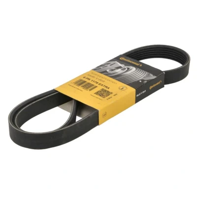Abbildung von CONTITECH 6PK1179 EXTRA Keilrippenriemen 1179mm 6 FORD: Focus Mk4 Turnier