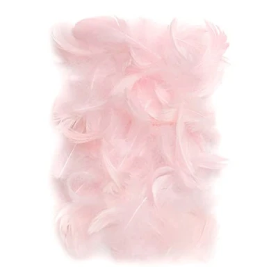 Abbildung von Netuno 150 Stück Rosa Deko Federn 10g Flaumfedern Schmuckfedern Vogelfedern Bastelfedern Natur für DIY Basteln Dekoration Ostern Weihnachten Dekofigur