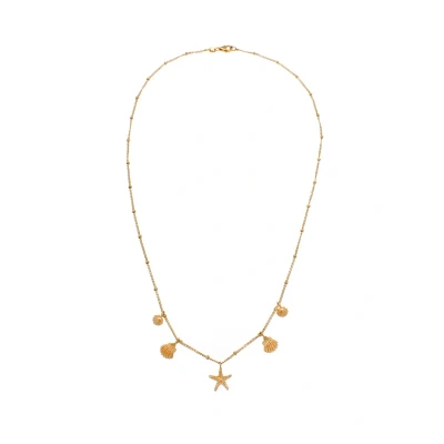 Abbildung von Elli Shell STAR FISH Halskette goldcoloured, Damen, Größe: 50, Gold coloured