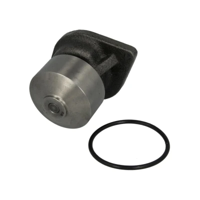 Abbildung von DOLZ L216 Wasserpumpe