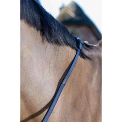 Abbildung von LeMieux Teugels Arika Rubber Grip Continental Braun/Silber Warmblut