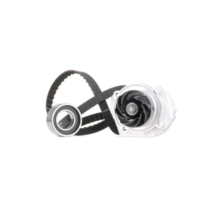 Abbildung von INA 530 0009 30 Wasserpumpe + Zahnriemensatz mit FIAT: Punto I Hatchback, Panda LANCIA: Y