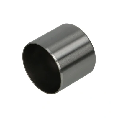 Abbildung von KOLBENSCHMIDT 50007549 Hydrostößel mechanisch beidseitig RENAULT: Scénic 1