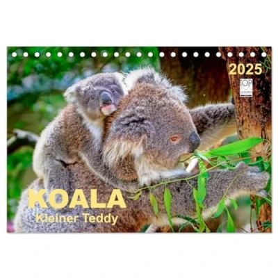 Abbildung von Koala kleiner Teddy (Tischkalender 2025 DIN A5 quer), CALVENDO Monatskalender