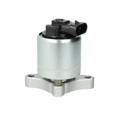 Abbildung von DELPHI EG10003 12B1 AGR Ventil mit Dichtungen OPEL: Meriva A, Zafira Vectra C Saloon
