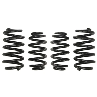 Abbildung von EIBACH Pro Kit E10 15 003 12 22 Fahrwerksatz, Federn AUDI: A4 B7 Avant, B6 Avant