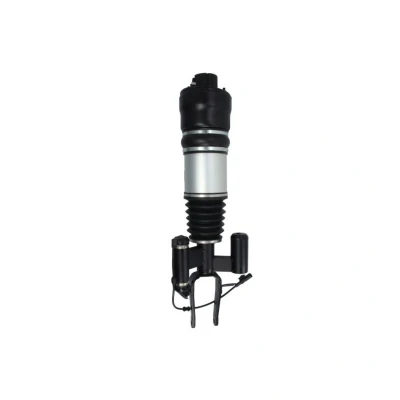 Abbildung von Magnum Technology APM016MT Luftfederbein vorne links MERCEDES BENZ: E Class T modell, Saloon