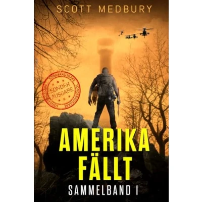 Abbildung von Amerika fällt: Bücher 1 3 (Amerika fällt Taschenbuchsammlungen, Band 1)