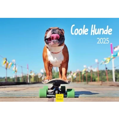 Abbildung von Edition Seidel Premium Kalender Coole Hunde 2025 Format DIN A3 Wandkalender Hundekalender Hund Welpe Hunderasse Haustier lustige Sprüche