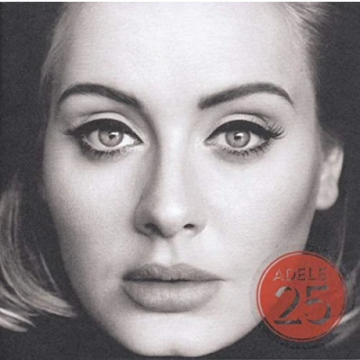 Abbildung von 25 [Vinyl LP]