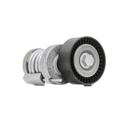 Abbildung von INA 534 0123 20 Spannarm, Keilrippenriemen VOLKSWAGEN: Lupo / 3L, Golf 4, 4 Variant, SEAT: Ibiza 3, Leon I Hatchback, Altea, SKODA: Fabia 2